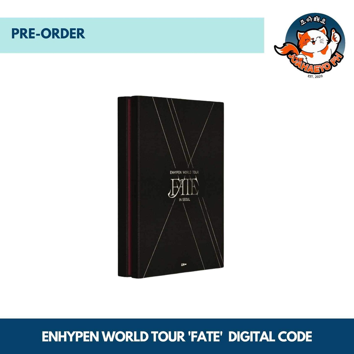 ENHYPEN WORLD TOUR ‘FATE’ IN SEOUL + OTHER STORIEs