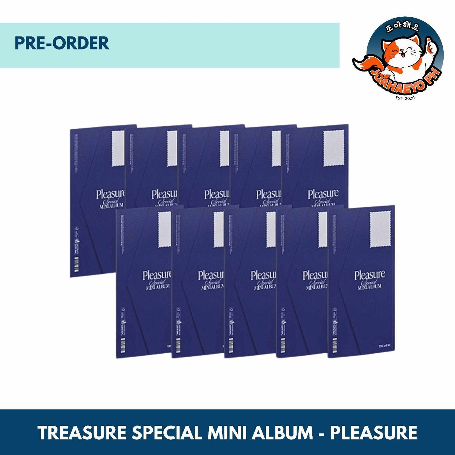 TREASURE SPECIAL ALBUM - PLEASURE