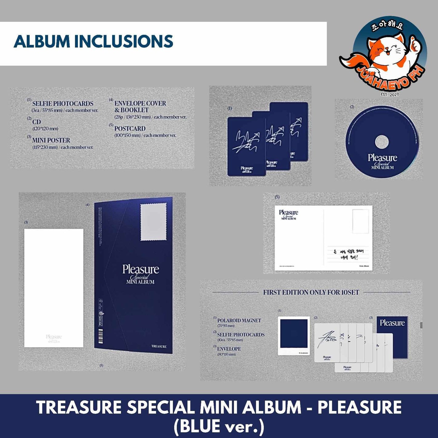 TREASURE SPECIAL ALBUM - PLEASURE